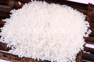 長(zhǎng)粒香大米 珍珠米 綠色東北大米